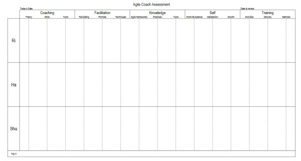 Agile Coaching Assessment